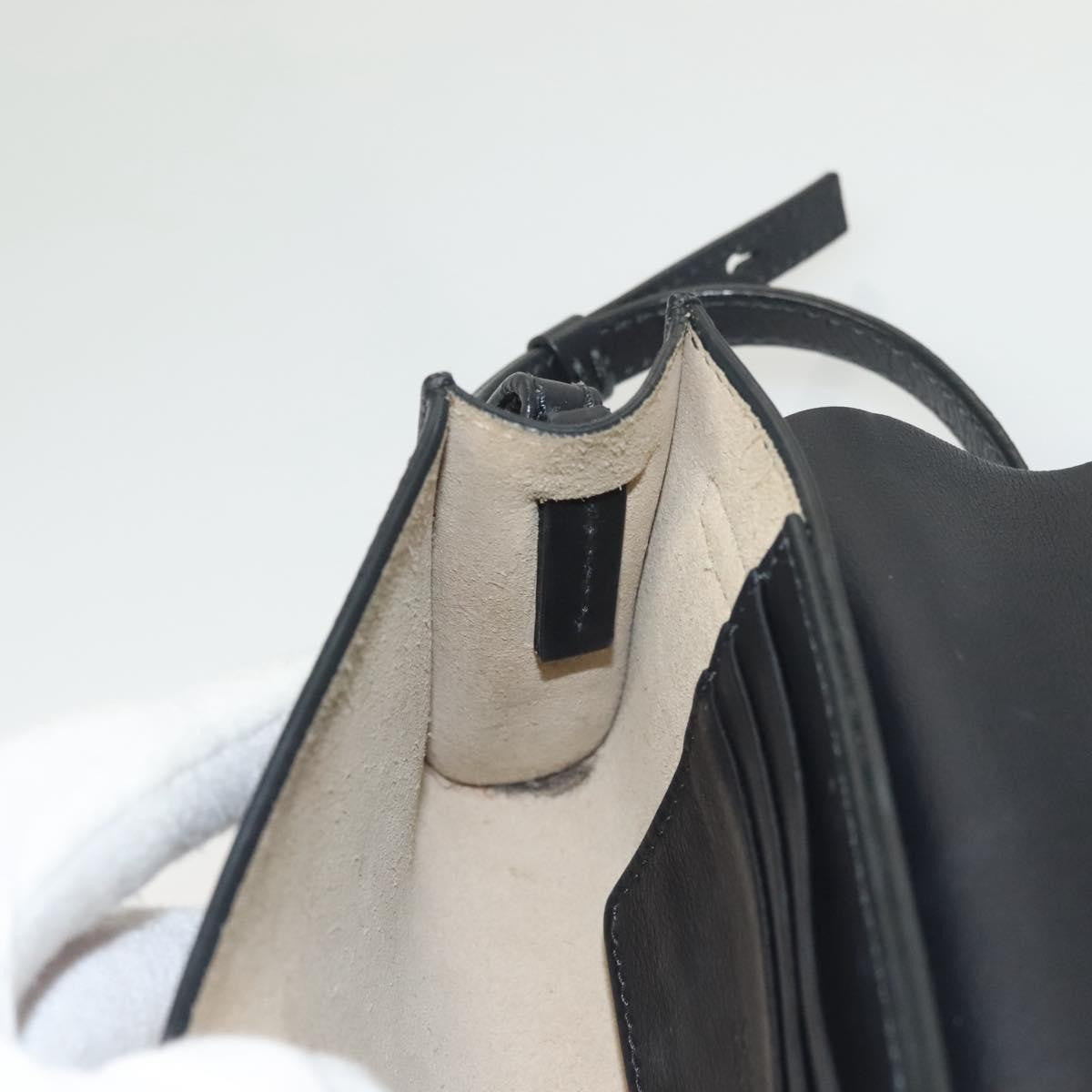 Chloe Faye Shoulder Bag Leather and Suede