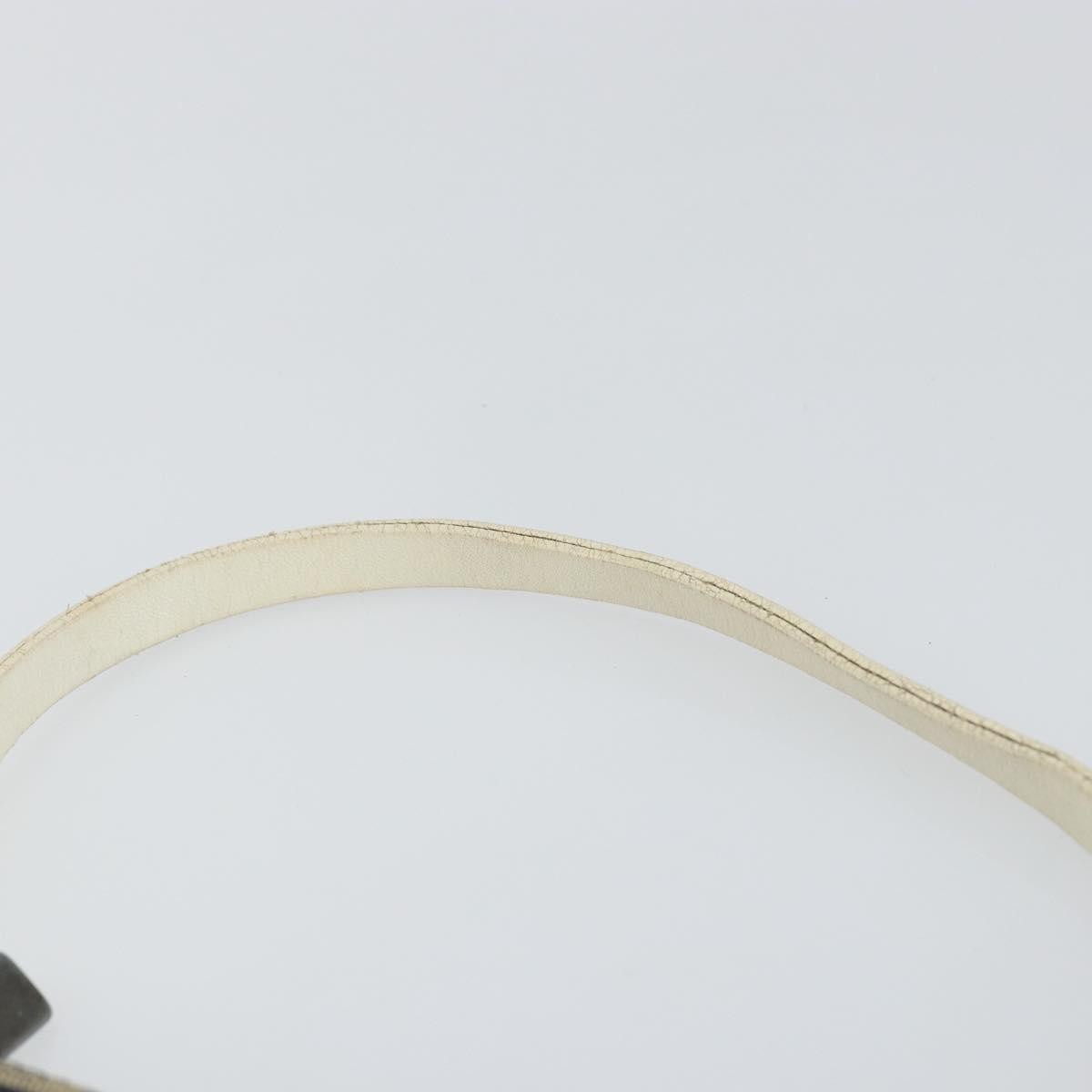 Fendi Pochette Shoulder Bag Zucchino Canvas