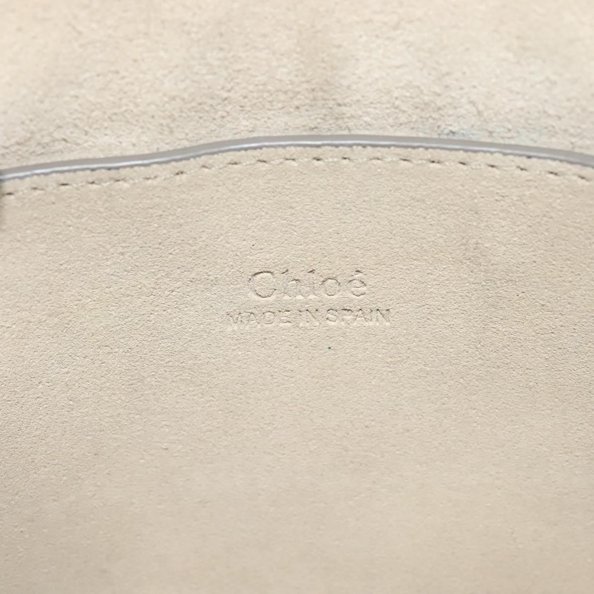 Chloe Faye Shoulder Bag Leather and Suede