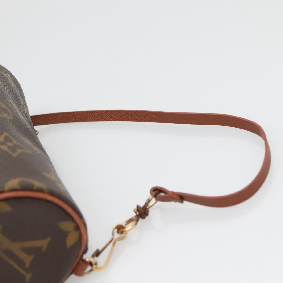 Louis Vuitton Papillon Pochette Monogram Canvas
