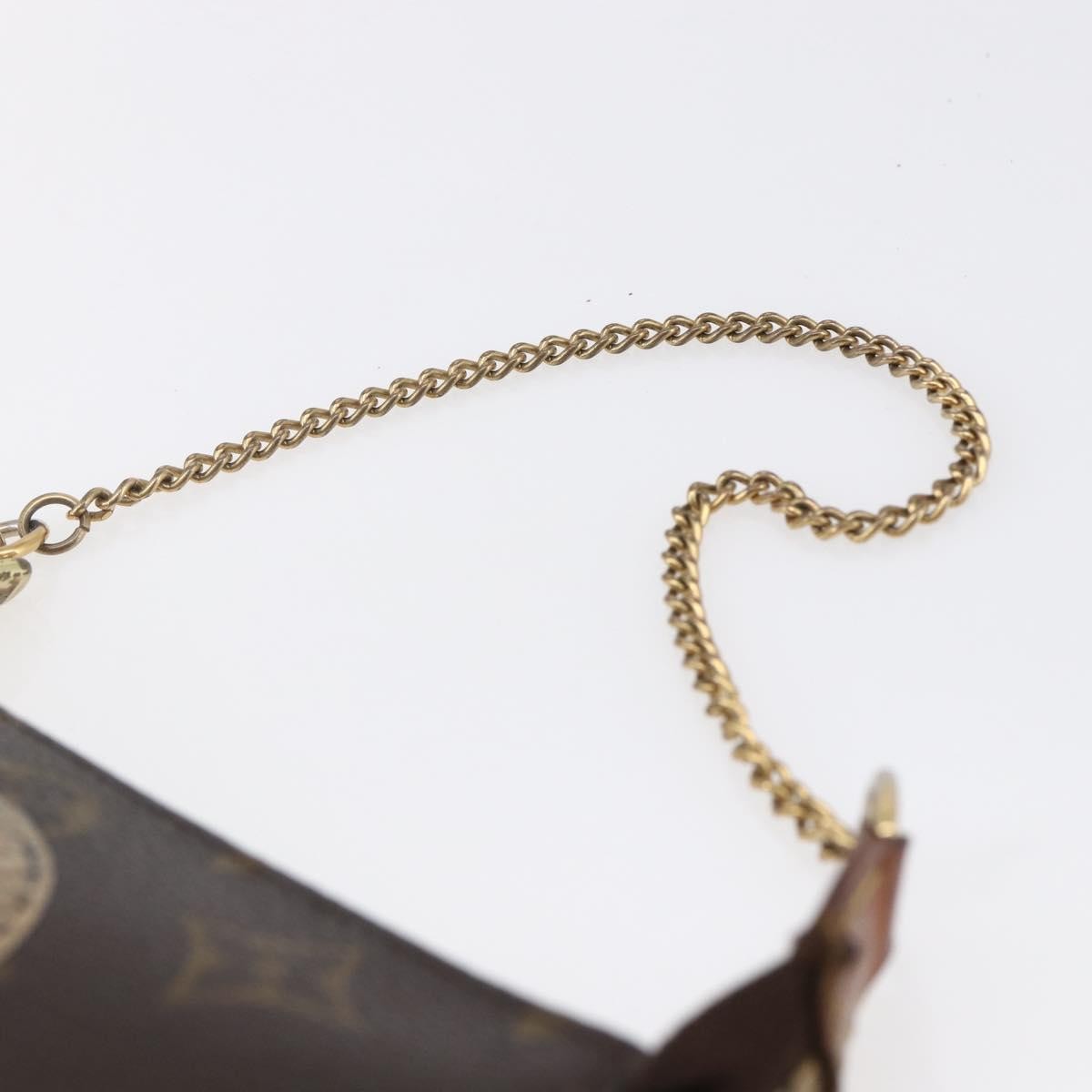 Louis Vuitton Pochette Accessoires Limited Edition Monogram Canvas