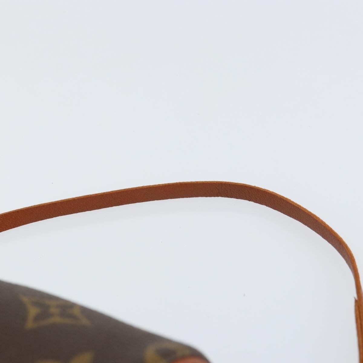 Louis Vuitton Papillon Pochette Monogram Canvas