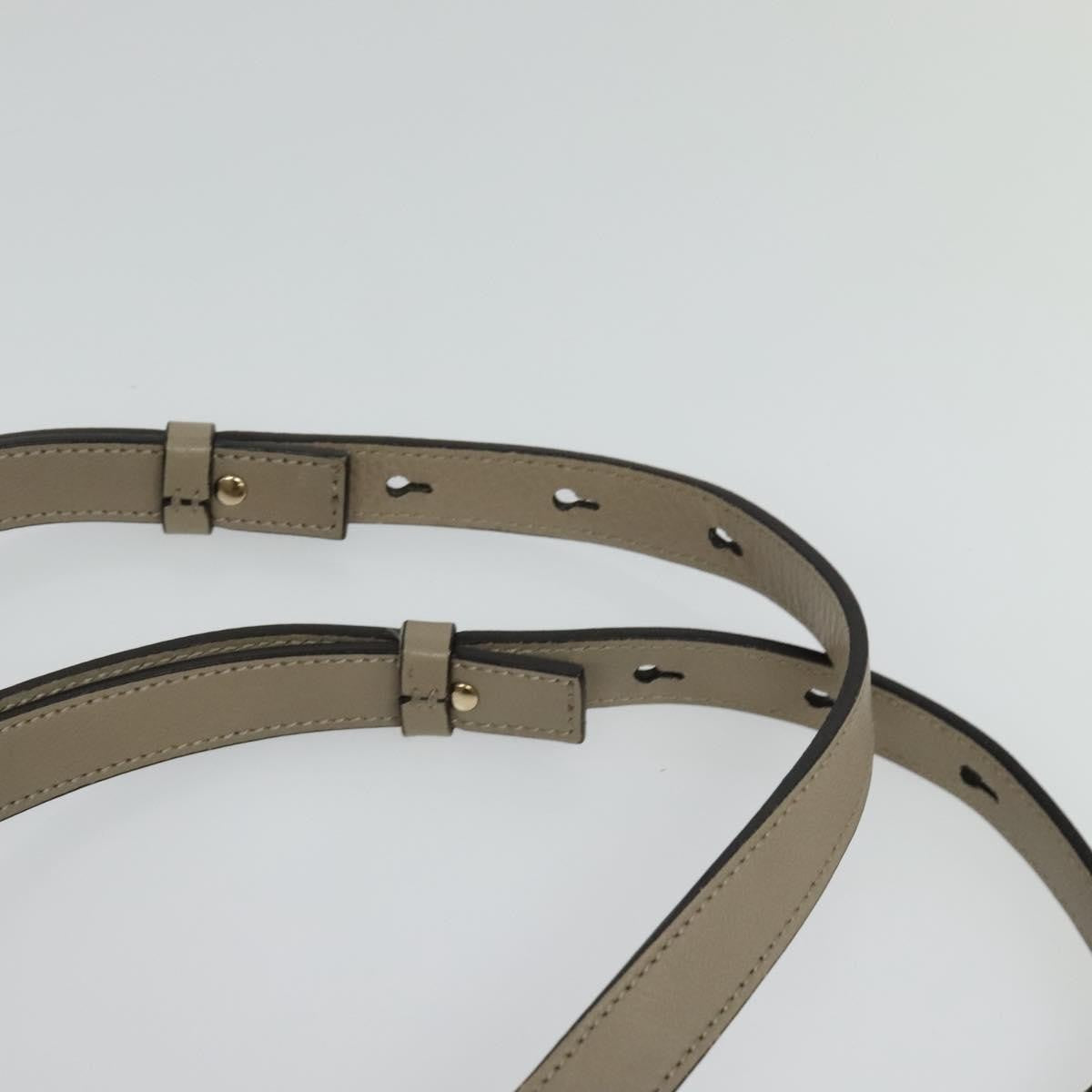 Chloe Faye Shoulder Bag Leather and Suede