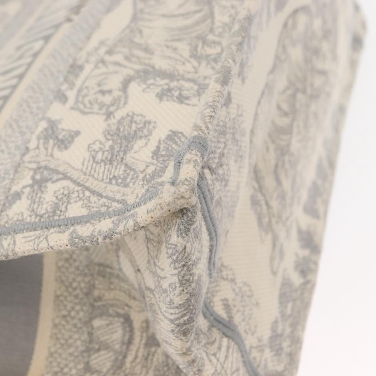 Christian Dior Book Tote Embroidered Canvas