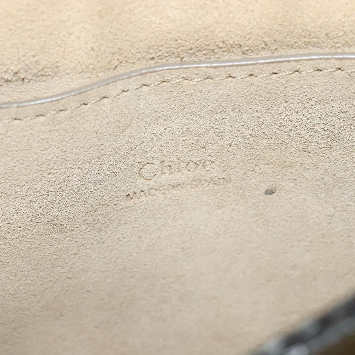 Chloe Faye Crossbody Leather and Suede