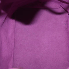 Louis Vuitton Noe Handbag Epi leather