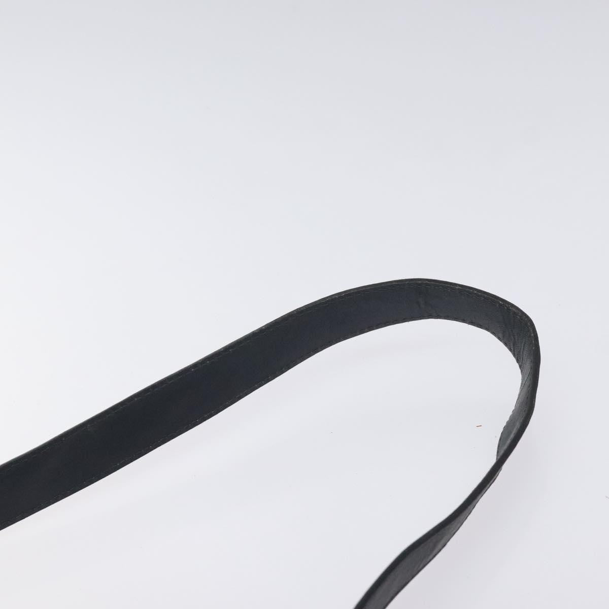 Celine C Sulky Shoulder bag Canvas and Leather