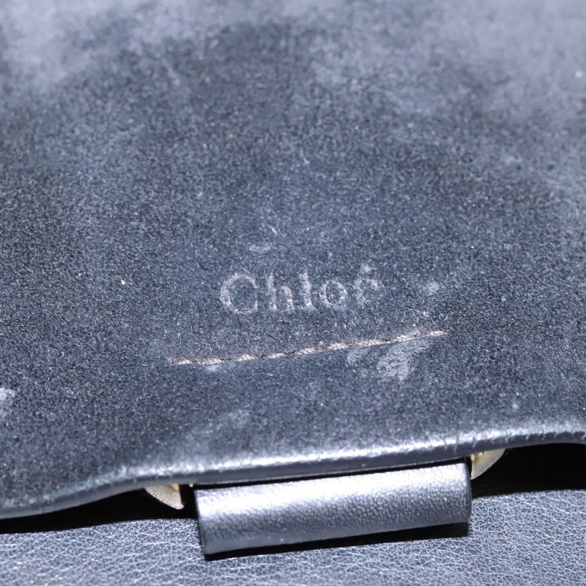Chloe Faye Shoulder Bag Leather and Suede