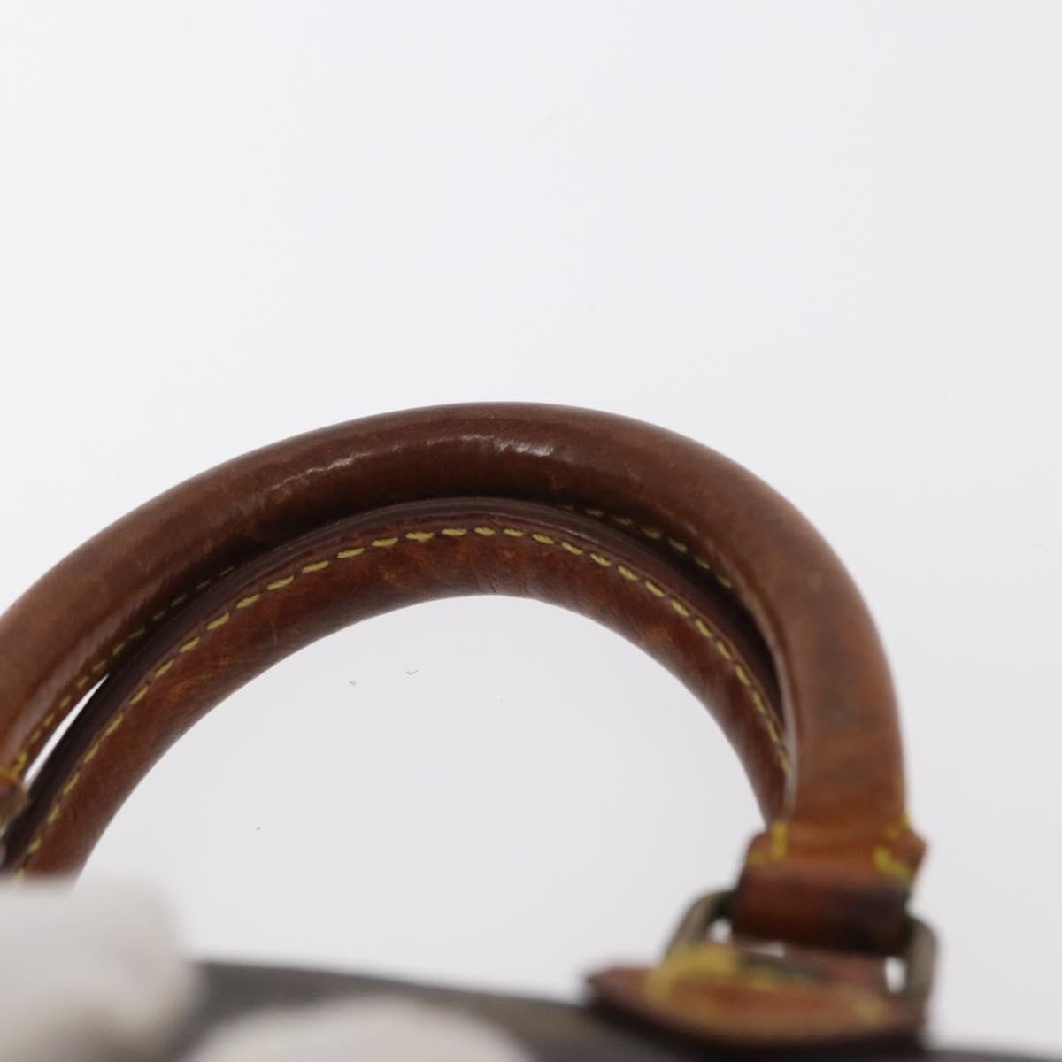 Louis Vuitton Speedy Mini HL Handbag Monogram Canvas