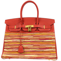 Hermes Birkin Handbag Vibrato and Togo