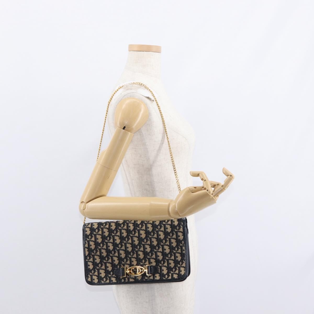 Christian Dior Vintage CD trotter Shoulder bag Canvas