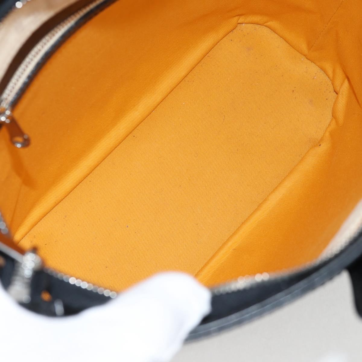 Goyard Beluga Bag Coated Canvas