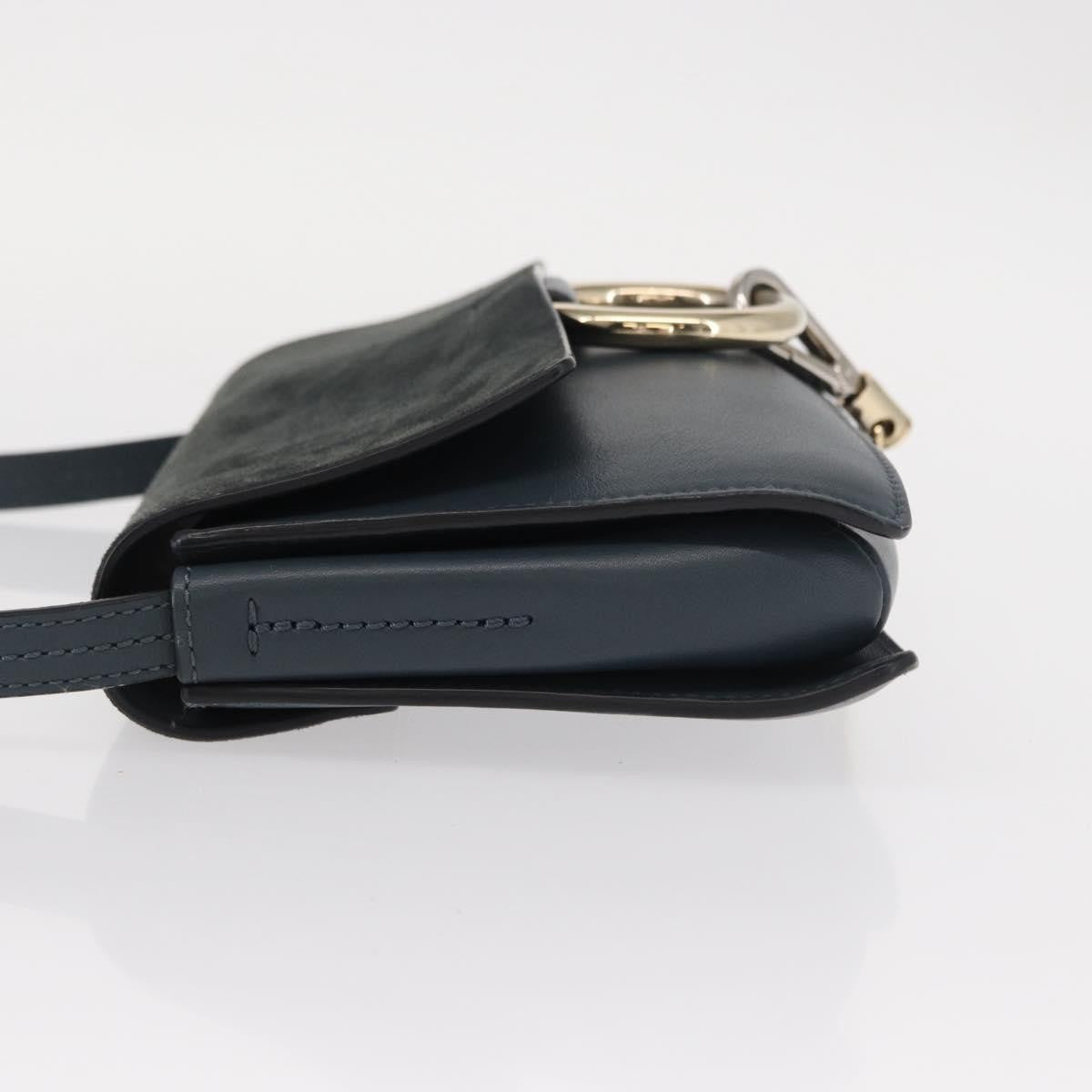 Chloe Faye Shoulder Bag Leather and Suede
