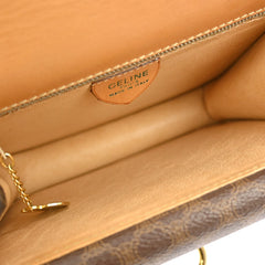Celine Triomphe vintage handbag Macadam canvas