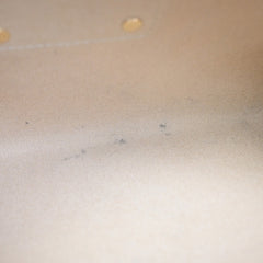 Louis Vuitton Eva Handbag Damier