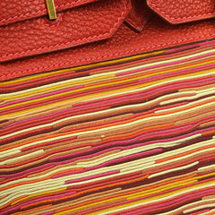 Hermes Birkin Handbag Vibrato and Togo