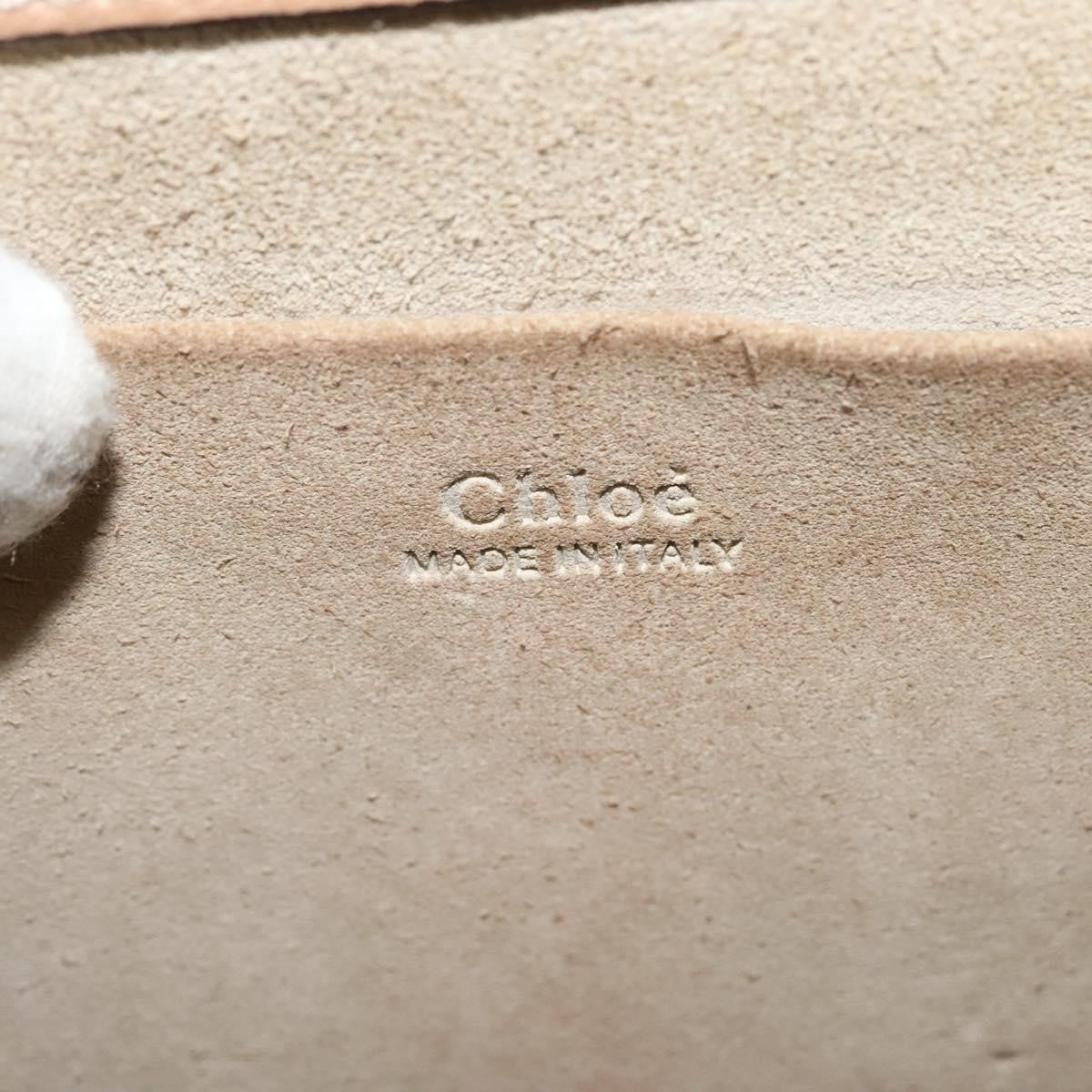 Chloe Nile Crossbody Bag Leather