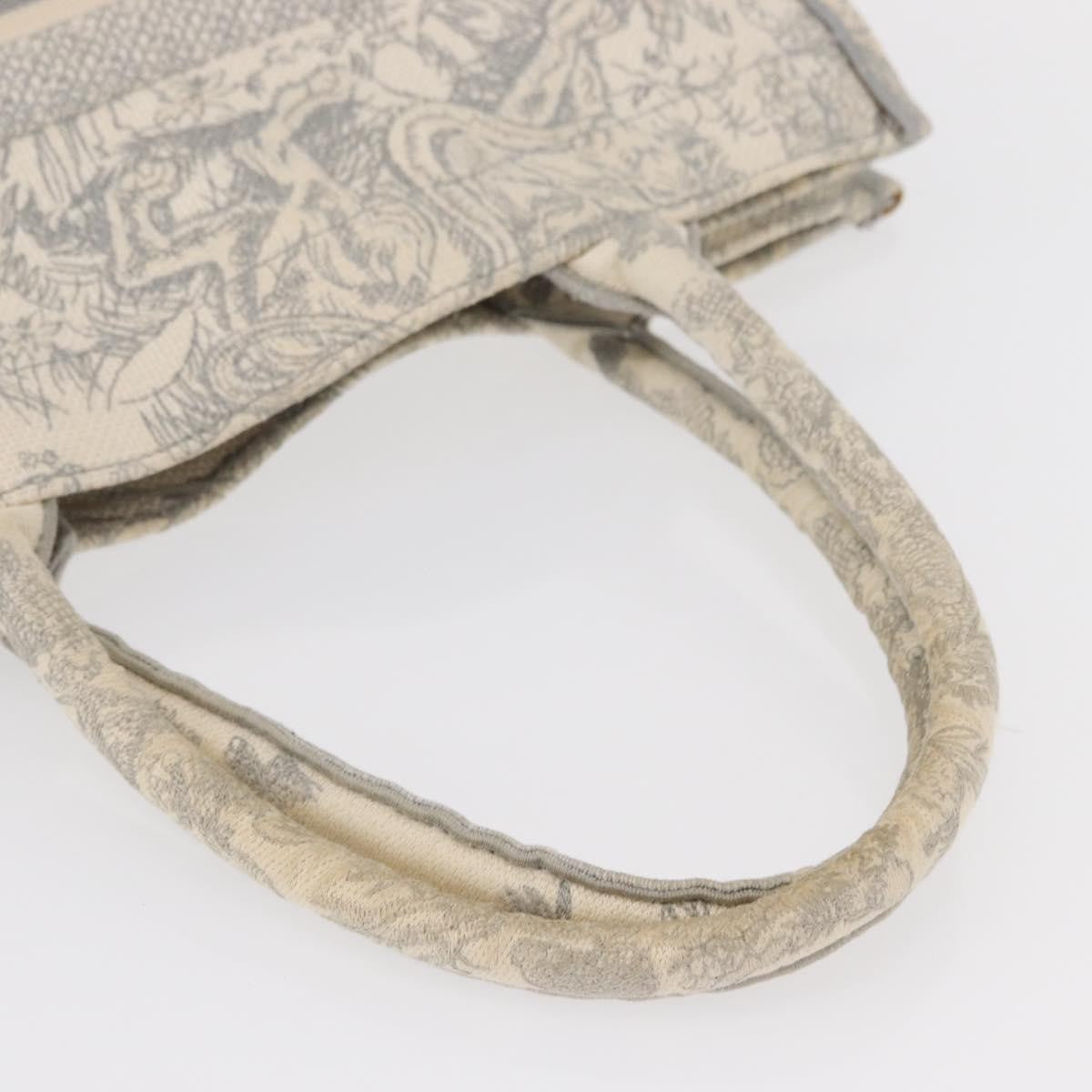 Christian Dior Book Tote Embroidered Canvas