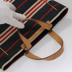 Burberry Blue Label Handbag Canvas