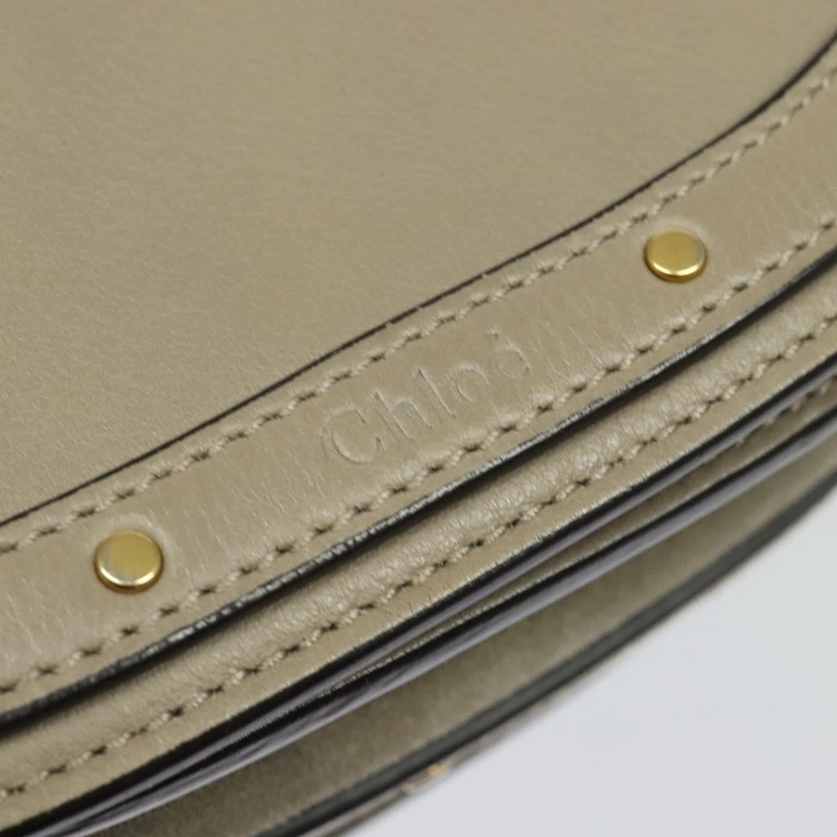 Chloe Nile Crossbody Bag Leather