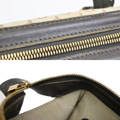 Louis Vuitton Josephine Handbag Mini Lin