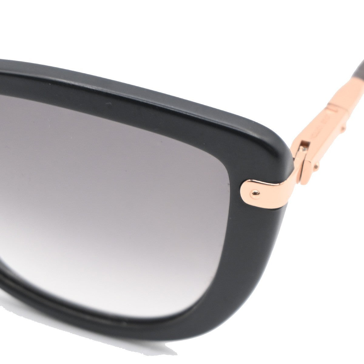 Louis Vuitton Charlotte Sunglasses Plastic