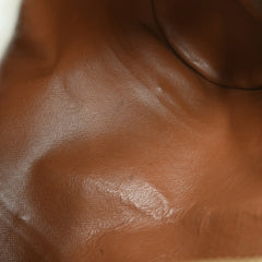 Louis Vuitton Papillon Handbag Monogram Canvas