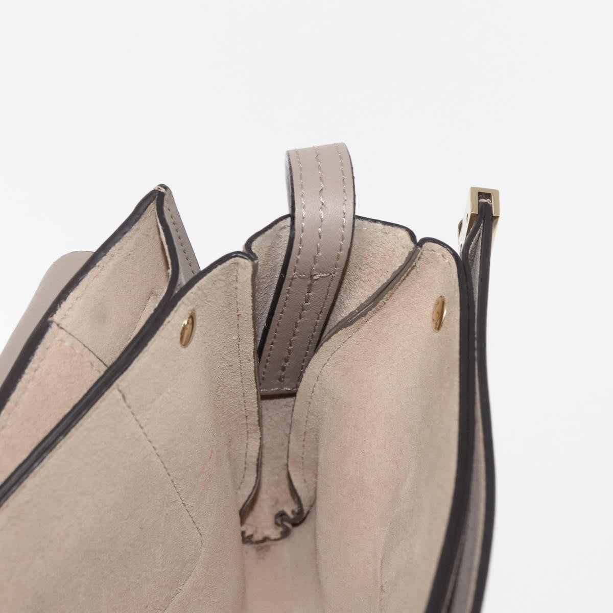 Chloe Faye Shoulder Bag Leather and Suede
