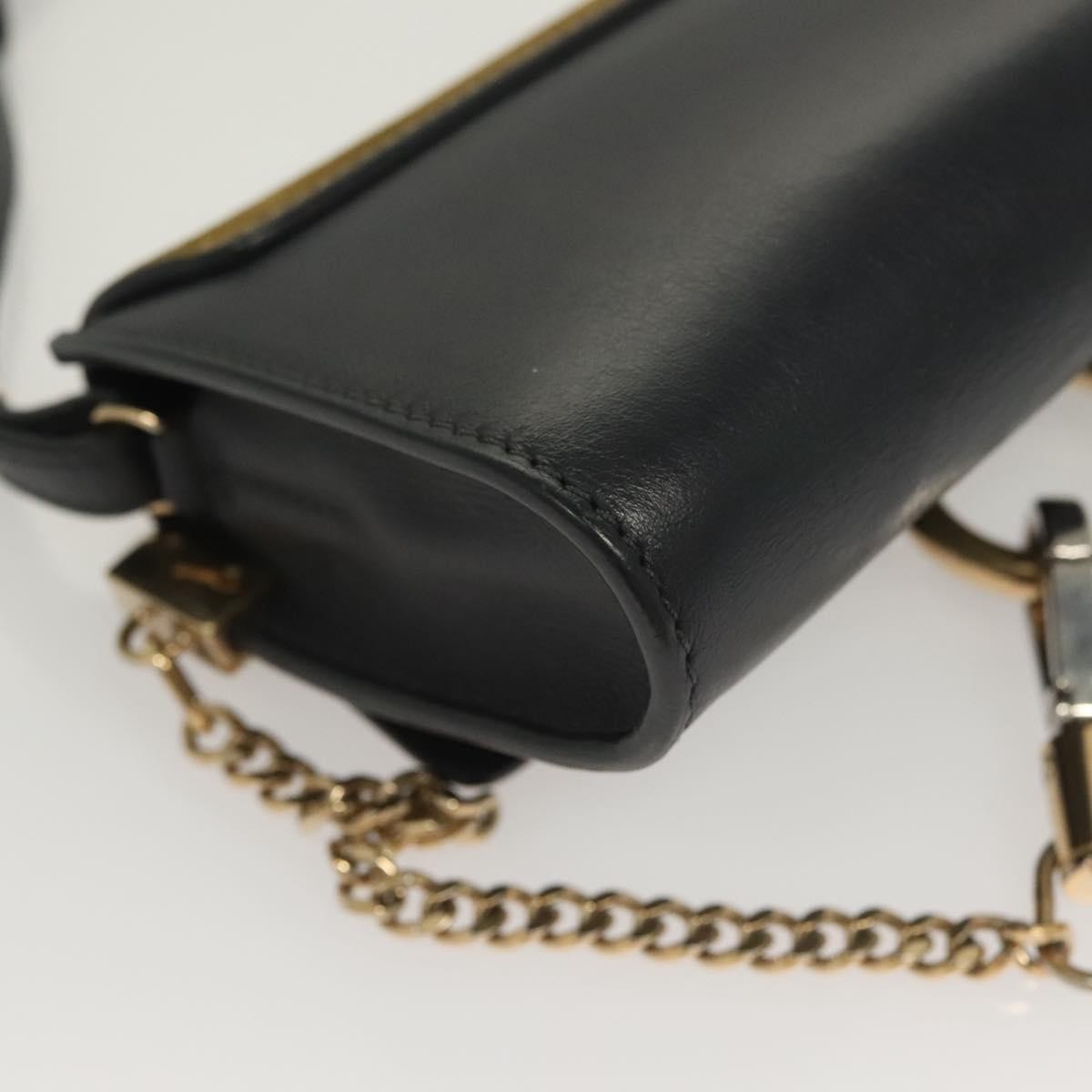 Chloe Faye Shoulder Bag Leather and Suede