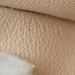 Louis Vuitton Cosmetic Pouch Damier