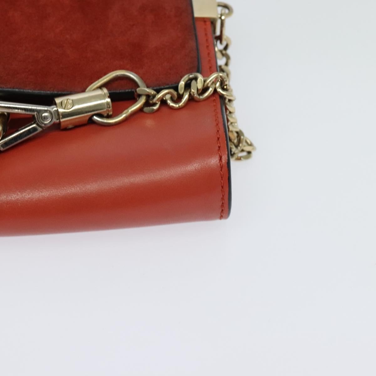 Chloe Faye Crossbody Leather and Suede