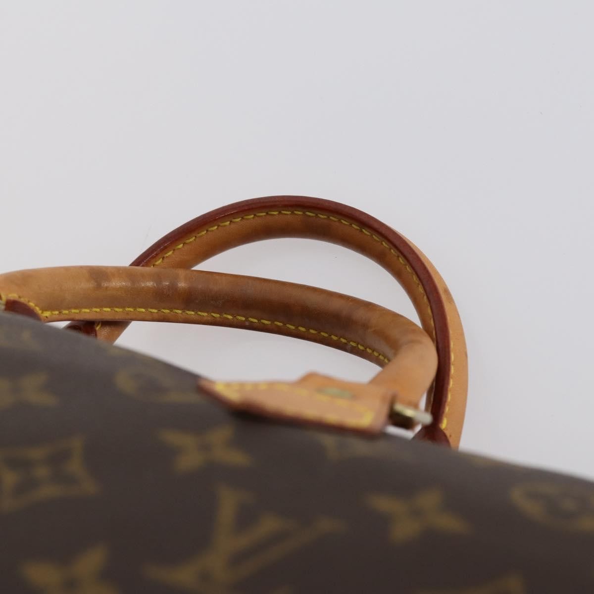 Louis Vuitton Speedy Handbag Monogram Canvas