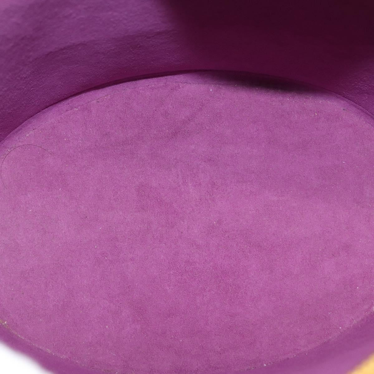 Louis Vuitton Saint Jacques Handbag Epi Leather