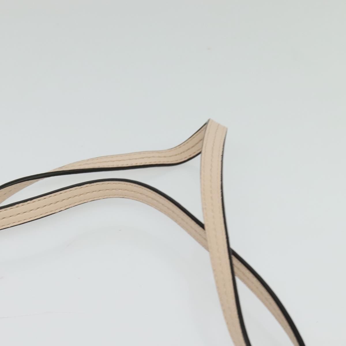 Chloe Faye Crossbody Leather and Suede