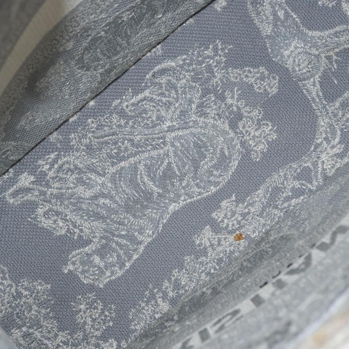 Christian Dior Book Tote Printed Canvas