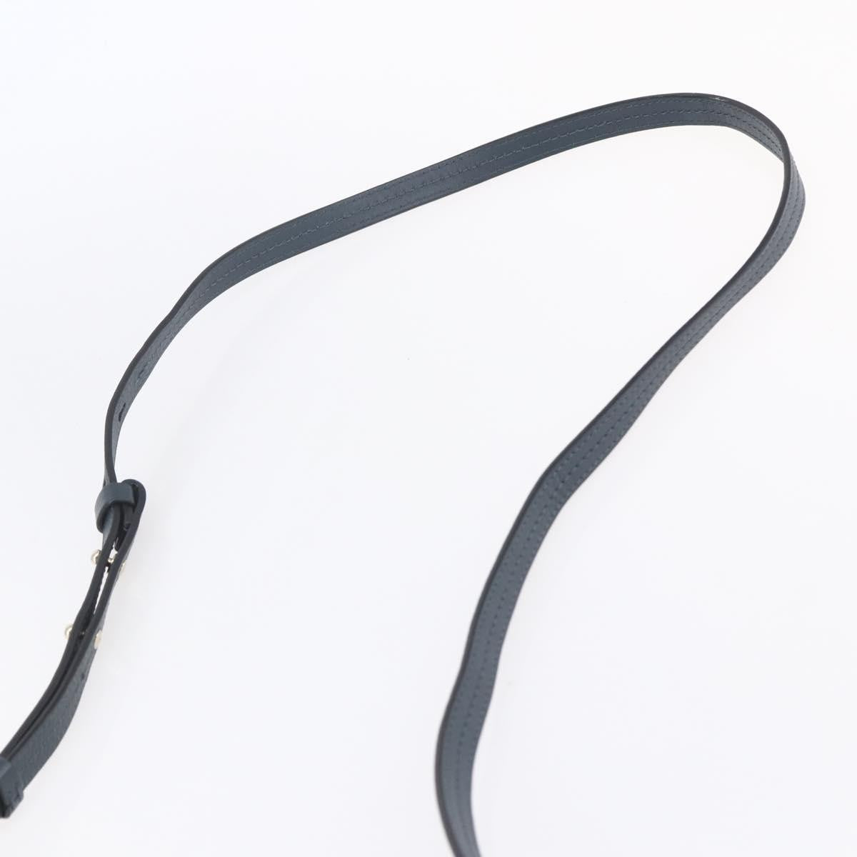 Chloe Faye Shoulder Bag Leather and Suede