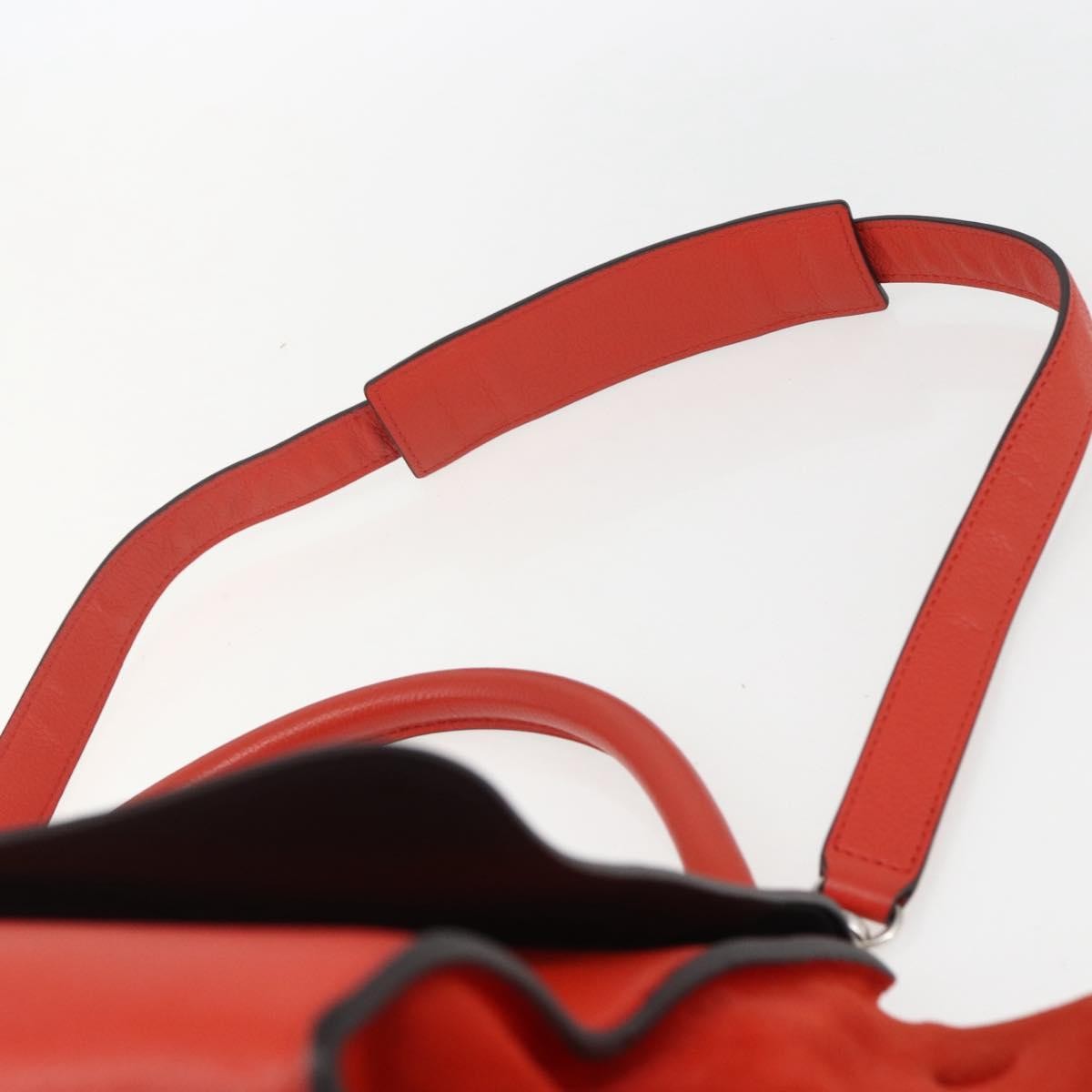 Celine Trapeze Bag Leather