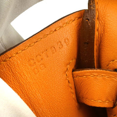 Hermes Birkin Handbag Orange Togo with Palladium Hardware