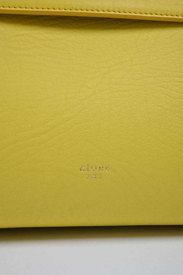 Celine Mini Belt Bag – AMUSED Co