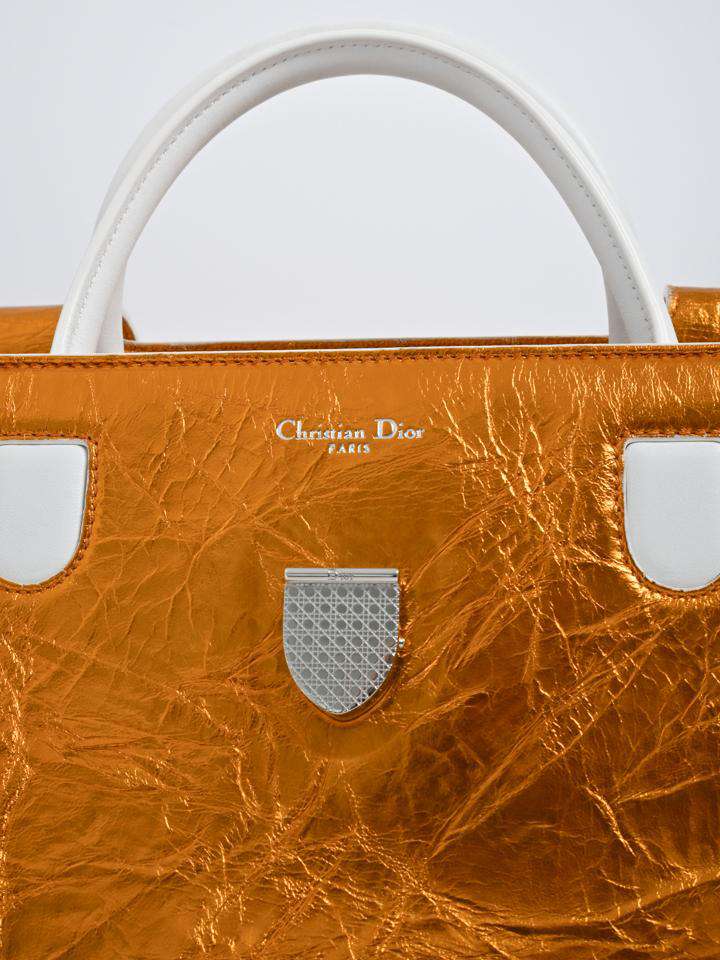 Christian Dior 2016 Diorever Bag
