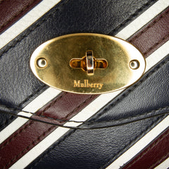 Darley Striped Leather Crossbody Bag_7