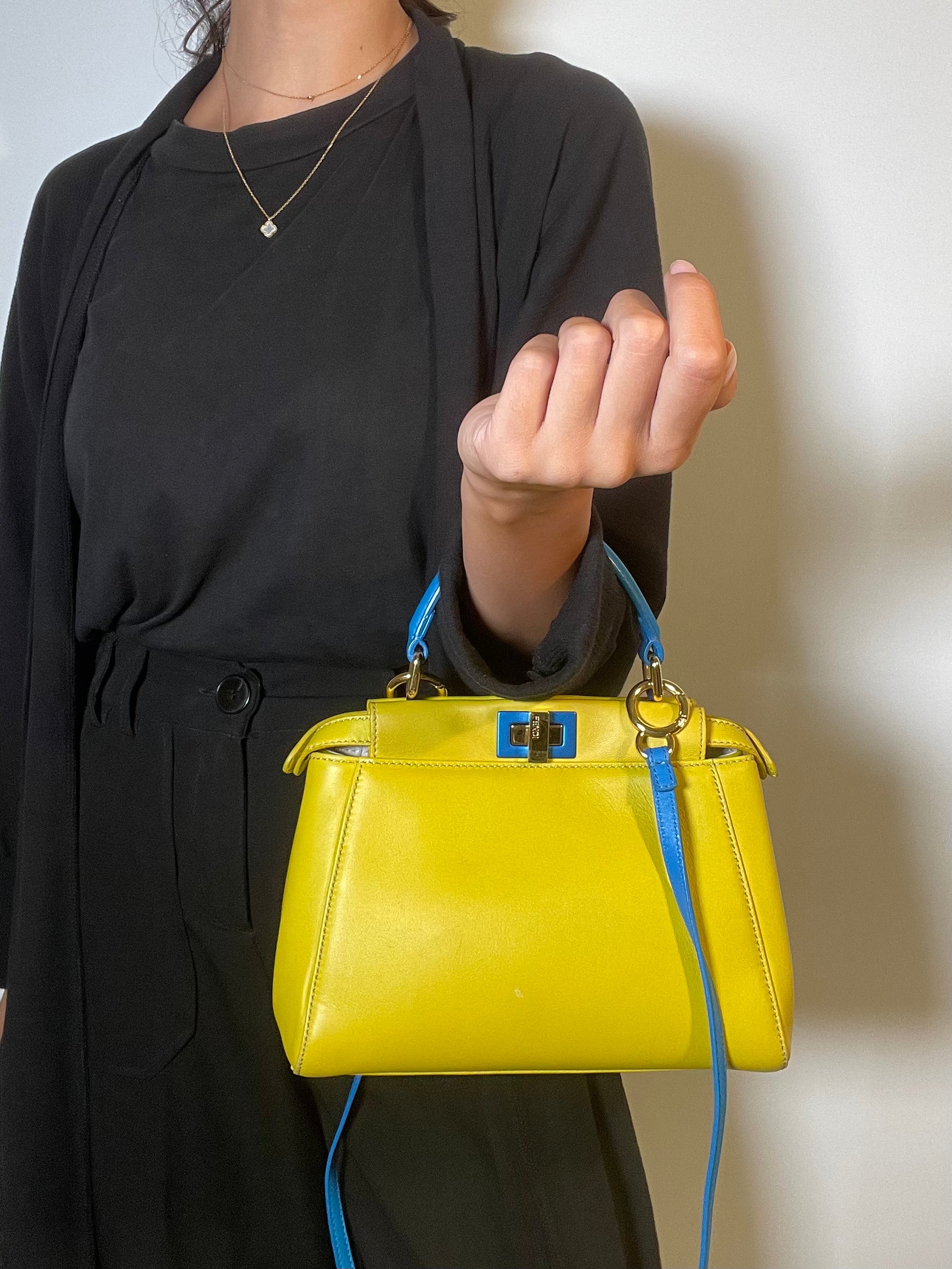 Fendi Leather Mini Peekaboo Top Handle Bag – AMUSED Co