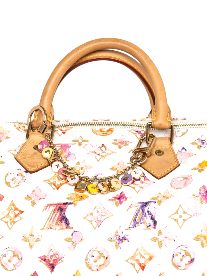 Louis Vuitton Speedy Handbag Monogram Watercolor Aquarelle 35